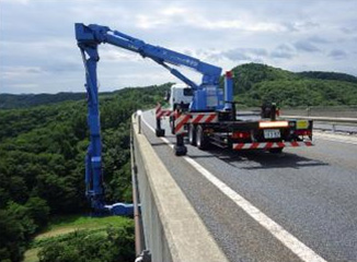 Image of bridge inspection