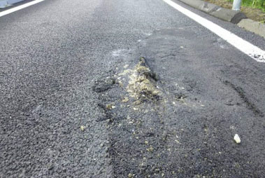 Image 2 of road surface damage