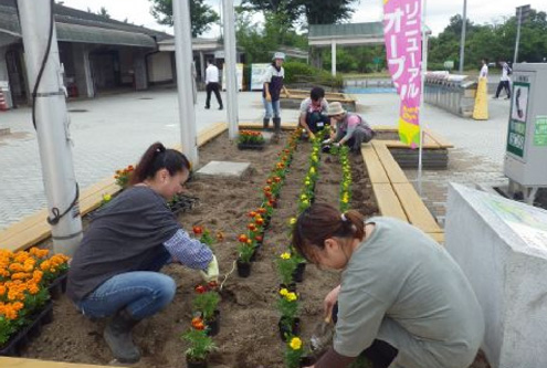 参考（前回の実施状況）のイメージ画像2