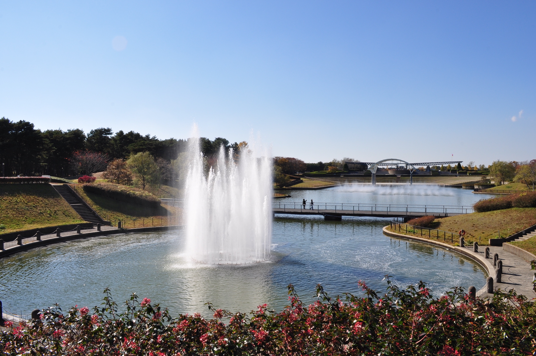 国営ひたち海浜公園