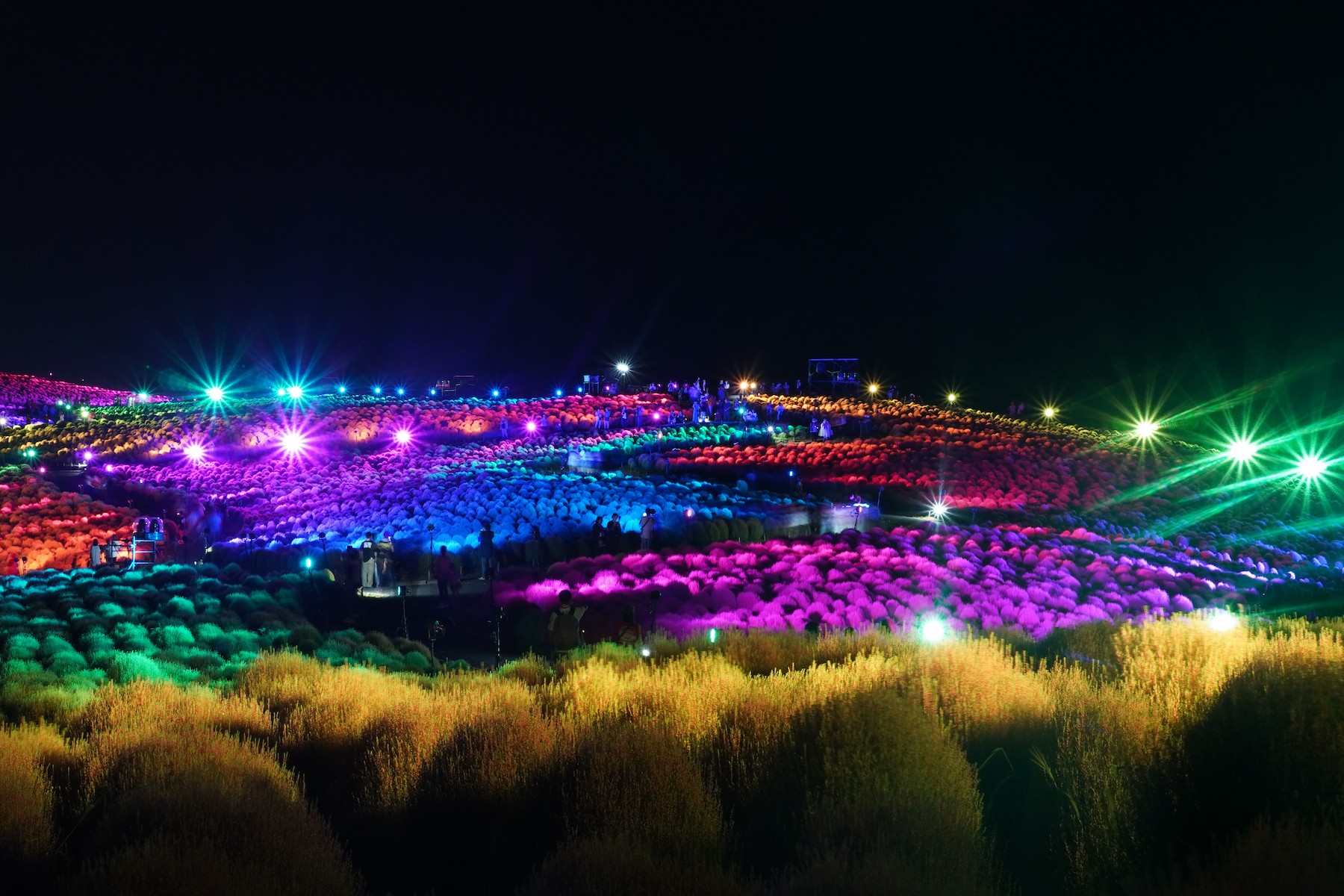 ライトアップされた国営ひたち海浜公園