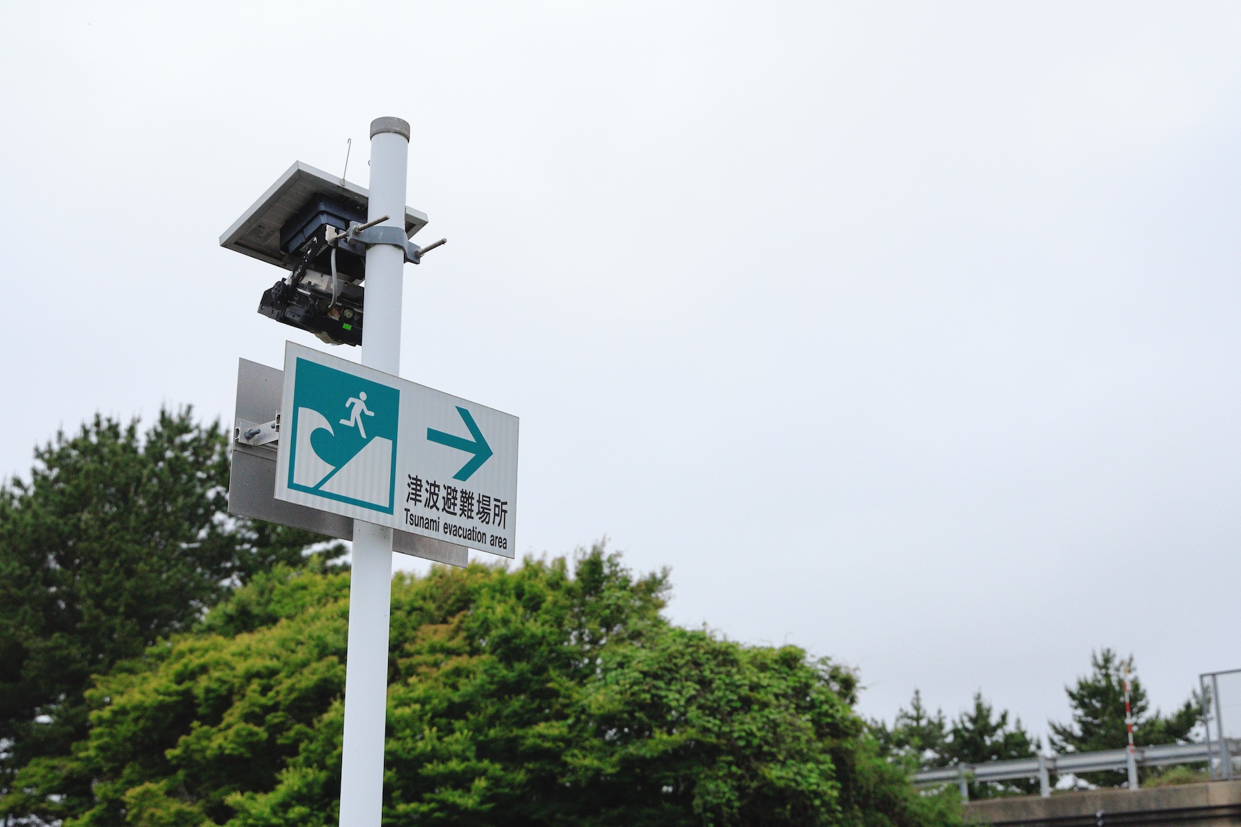 津波避難場所を示すサイン