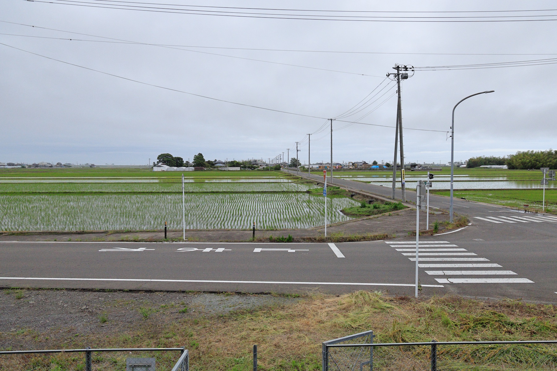 階段をのぼって見える風景。周辺には平地が広がります