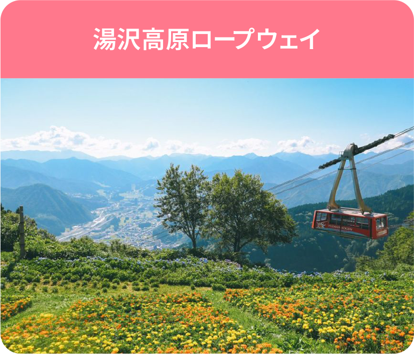 湯沢高原ロープウェイ